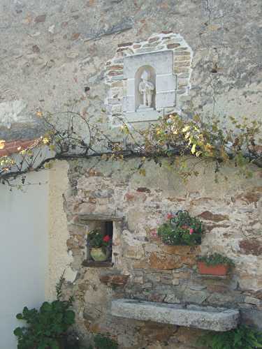 Les marais de l'Ile d'Olonne et l'ancienne rue du village...