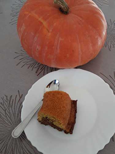 Un gâteau marbré au potiron et au chocolat !