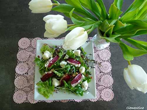 Salade de jeunes pousses aux œufs de caille et magret de canard séché