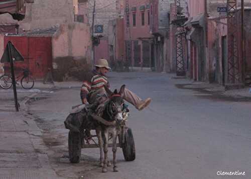 Voyage au Maroc - Kasbah de Traourirt et coopérative d'huile d'argan à Assaisse