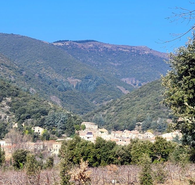 Cabrespine Journée Truffes et Patrimoine