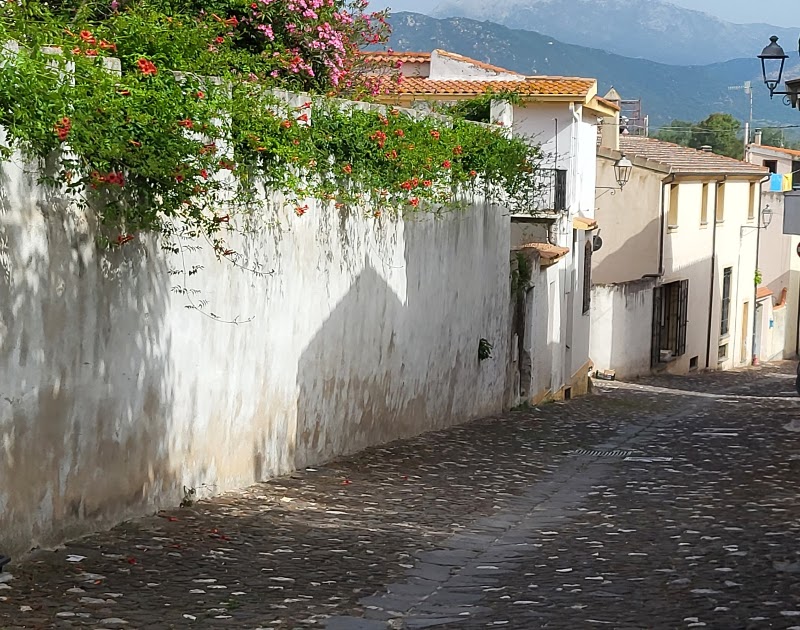 Sardaigne juin 2023 - Galtellì, Dorgali