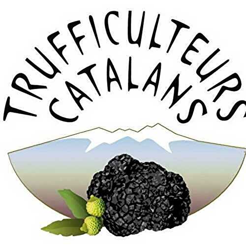 Marché aux truffes à Saint Jean Pla de Corts