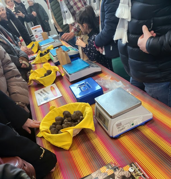 La fête régionale de la truffe du Canigou à Saint Jean Pla de Corts