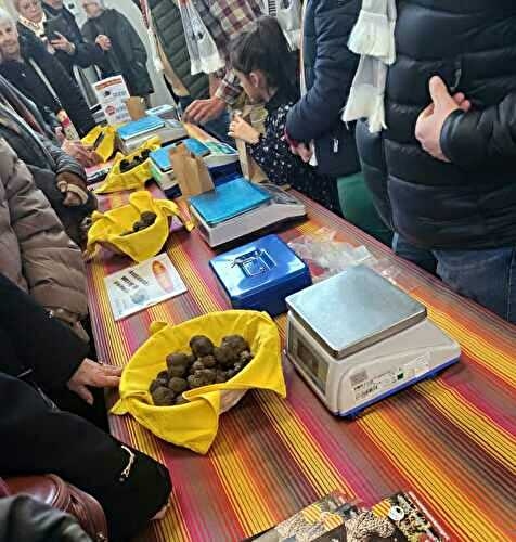 La fête régionale de la truffe du Canigou à Saint Jean Pla de Corts