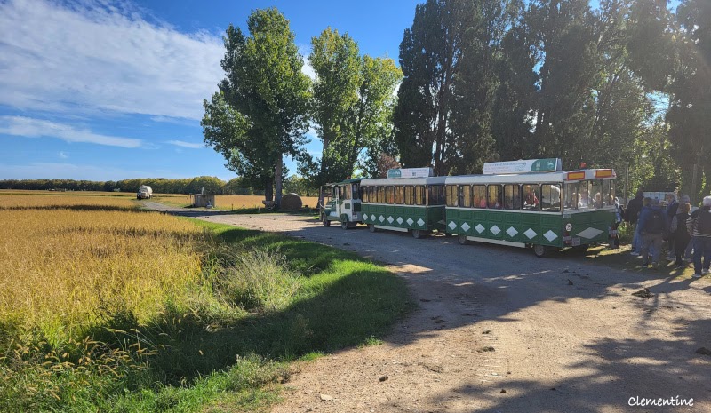 Visite de Pals et La Bisbal en Espagne