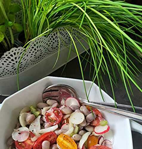 Salade de haricots borlotti et radis
