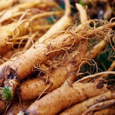 Café au Ginseng
