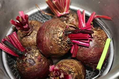 Betteraves rouges du jardin