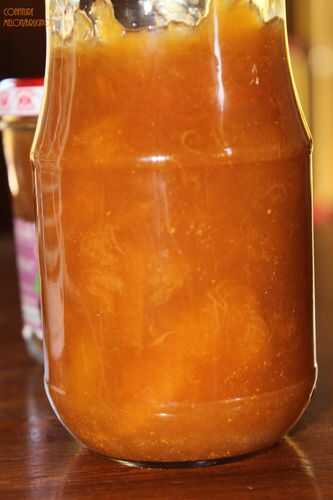 Confiture melon/brugnon