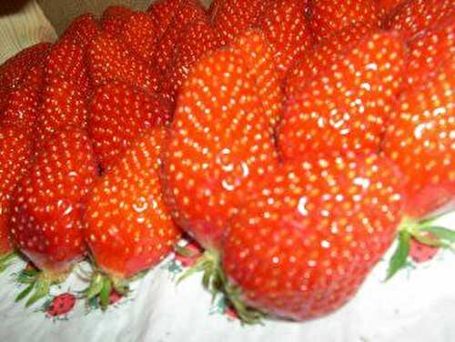 Fraises....