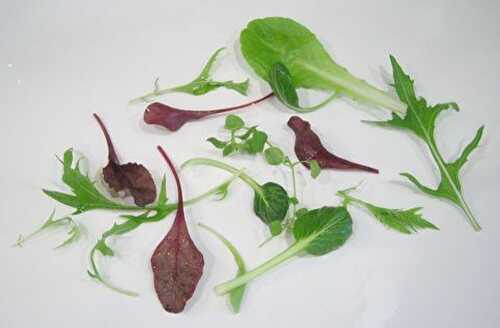 Mesclun