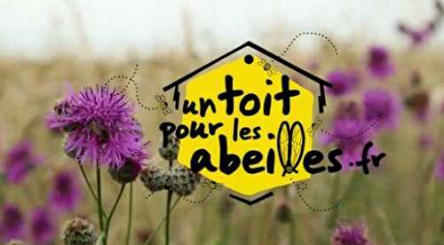 Un toit pour les abeilles