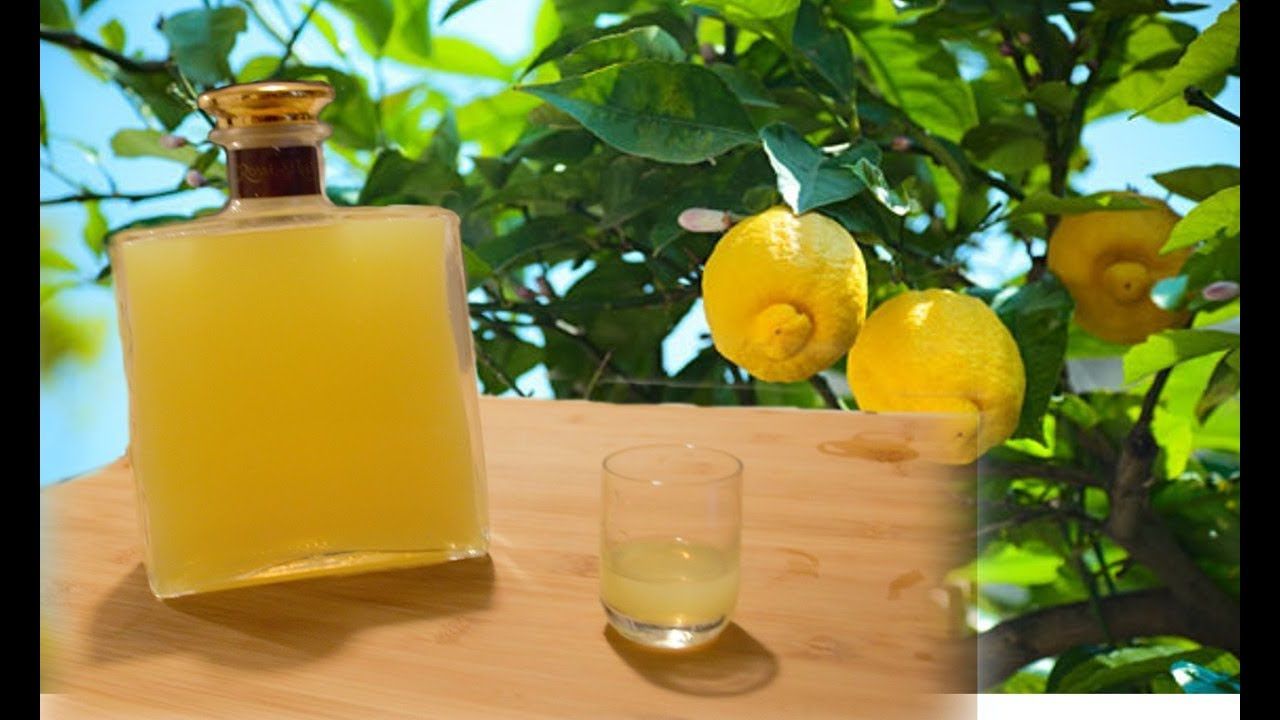 Limoncello maison