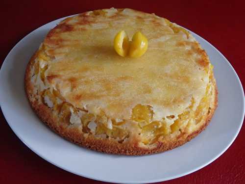 Gâteau aux mirabelles amandes et fromage blanc