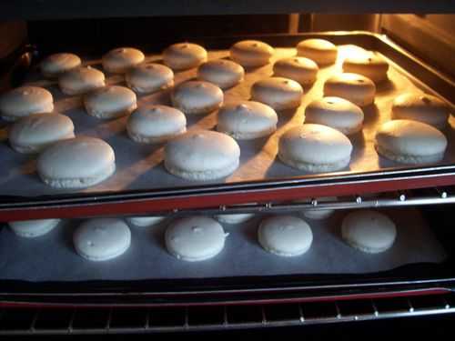 Macarons ganache montée chocolat fève tonka