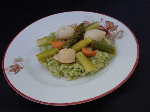 Risotto à l’ail des ours, asperges vertes et Saint Jacques