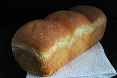 Pain de mie au levain