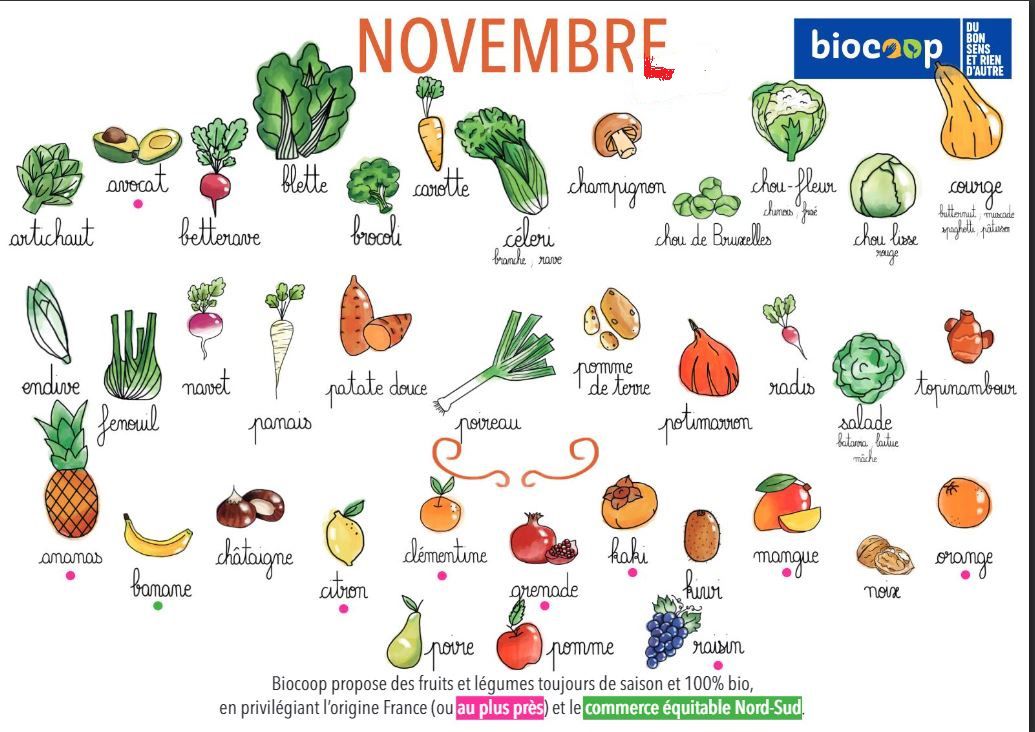 Calendrier des légumes et fruits de saison du mois de novembre