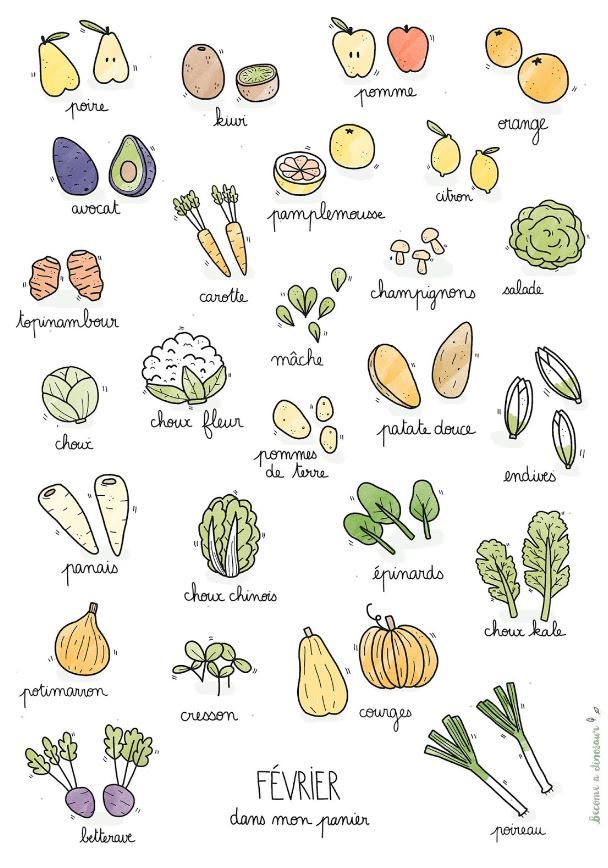 Calendrier des légumes et fruits de saison du mois de février