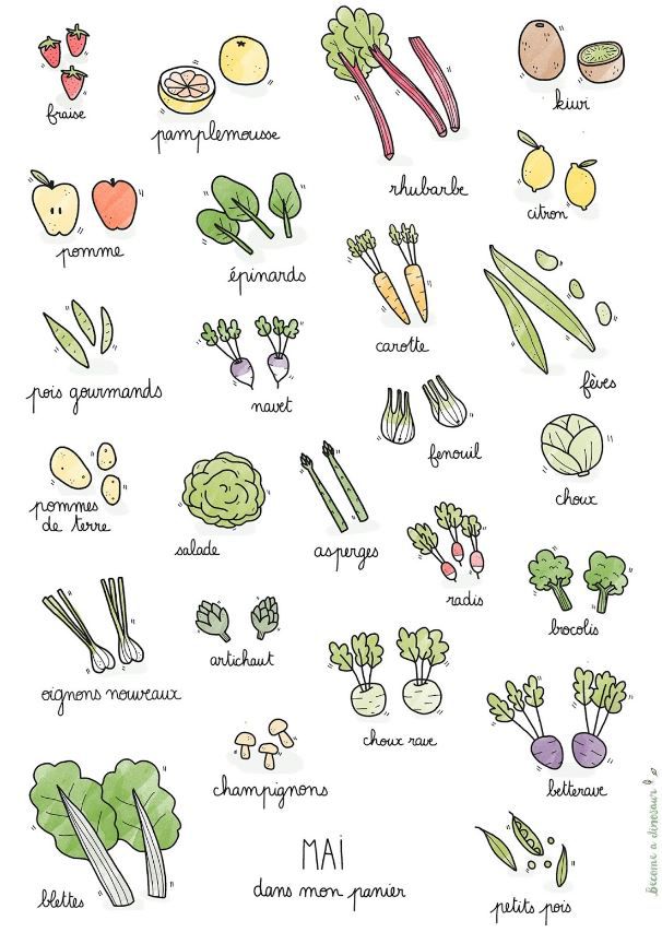 Calendrier des légumes et fruits de saison du mois de mai