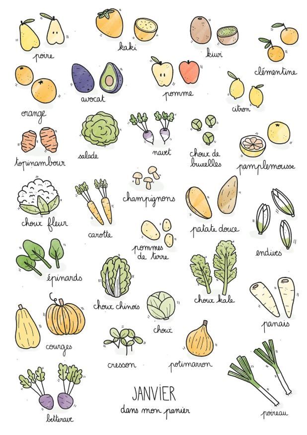 Calendrier des légumes et fruits de saison du mois de janvier