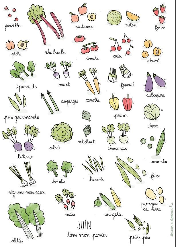 Calendrier des légumes et fruits de saison du mois de juin