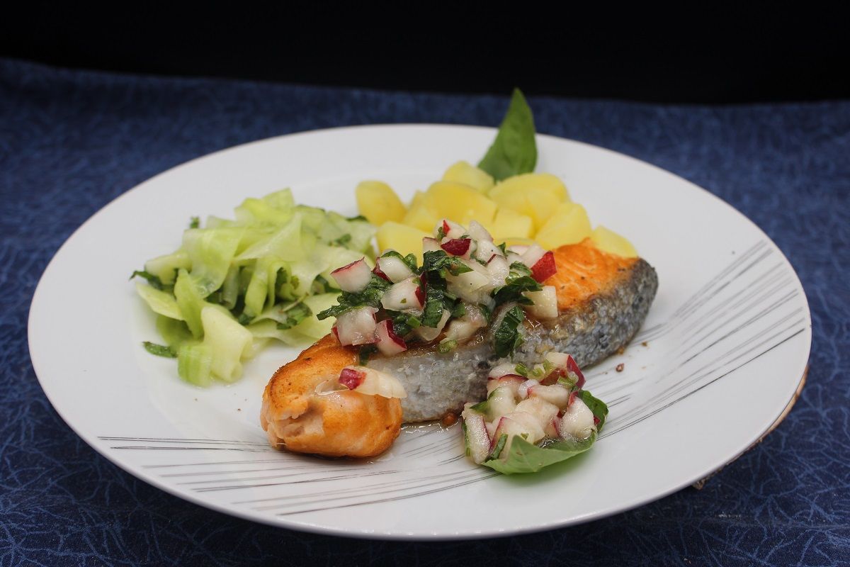 Saumon, salsa de nectarine au basilic et concombre à la menthe