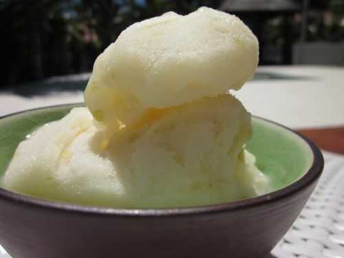 Sorbet à la pomme verte