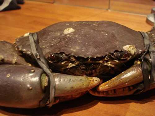 Tarte au crabe de palétuvier