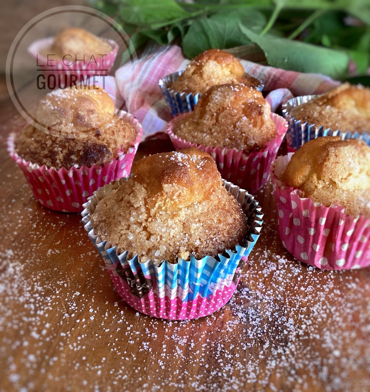 Magdalenas - Madeleines espagnoles 