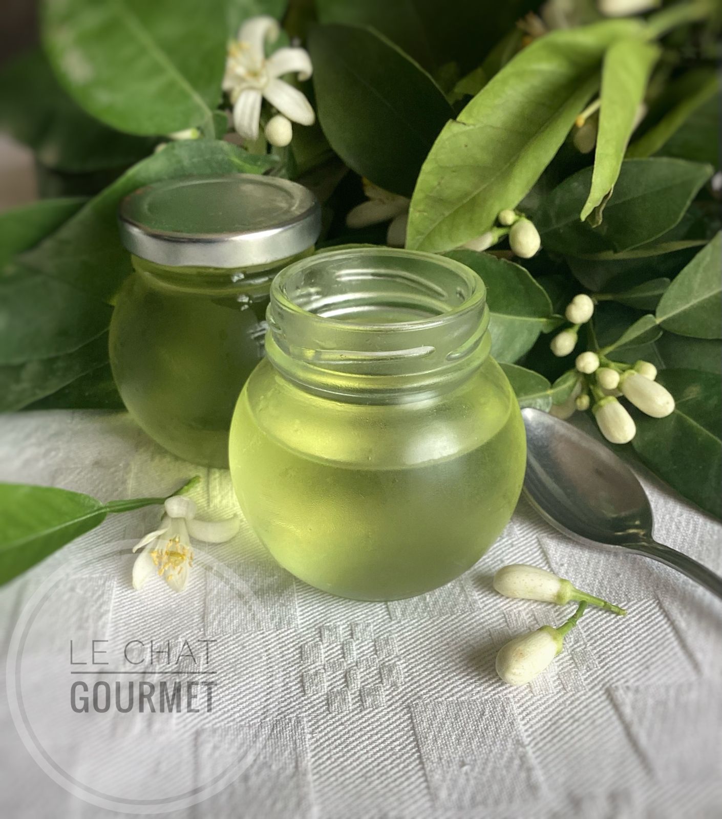 Eau de fleur d’oranger maison