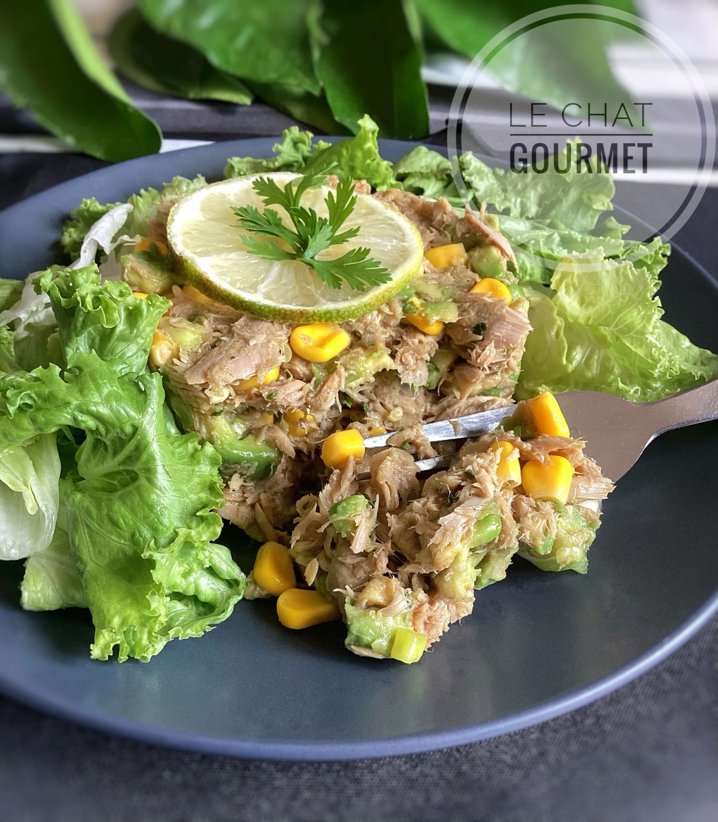 Timbale de thon au maïs et à l’avocat