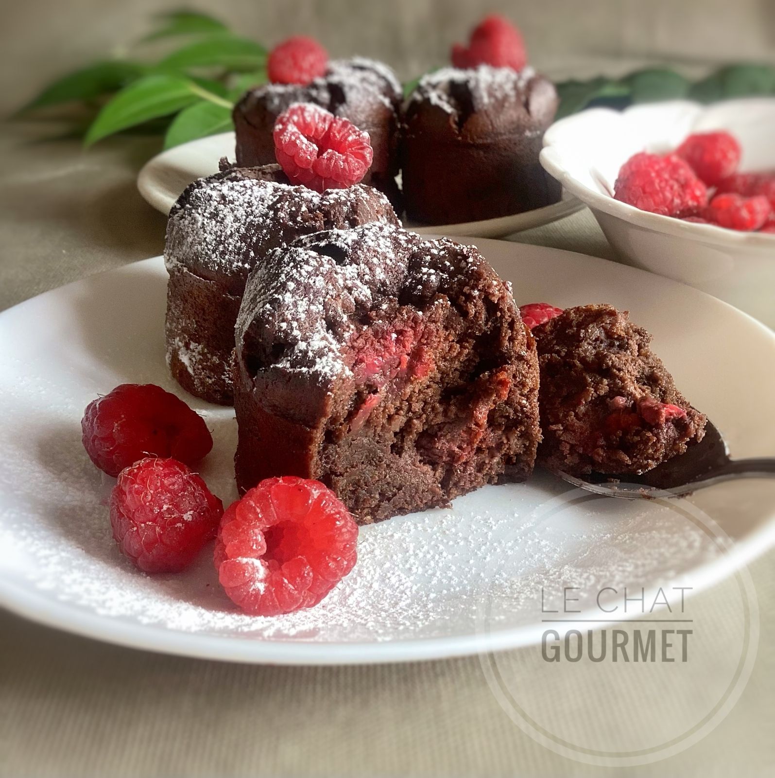 Financiers au chocolat façon brownies 