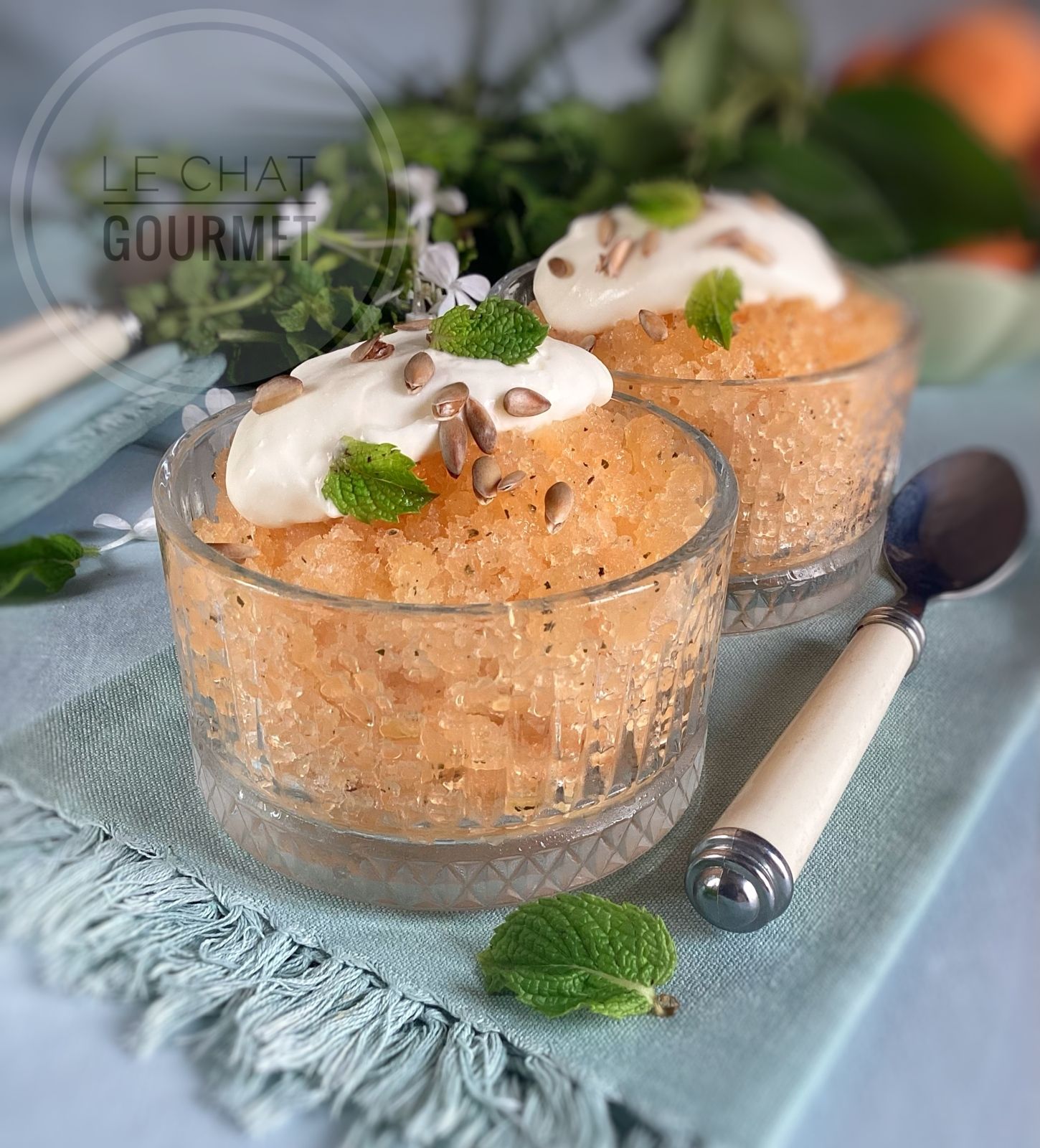 Granité de melon à la menthe