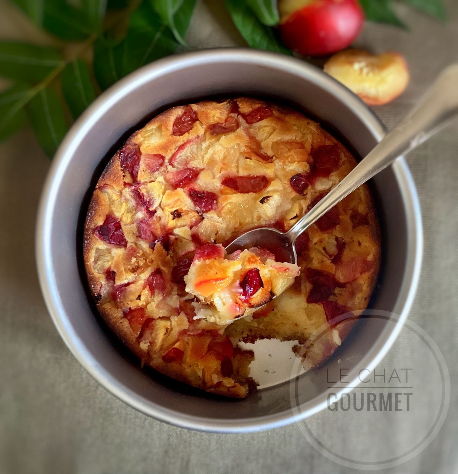 Cobbler aux nectarines