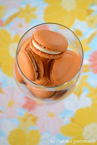 Macarons goût tropical