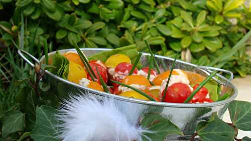 Nid de tomates apéritives