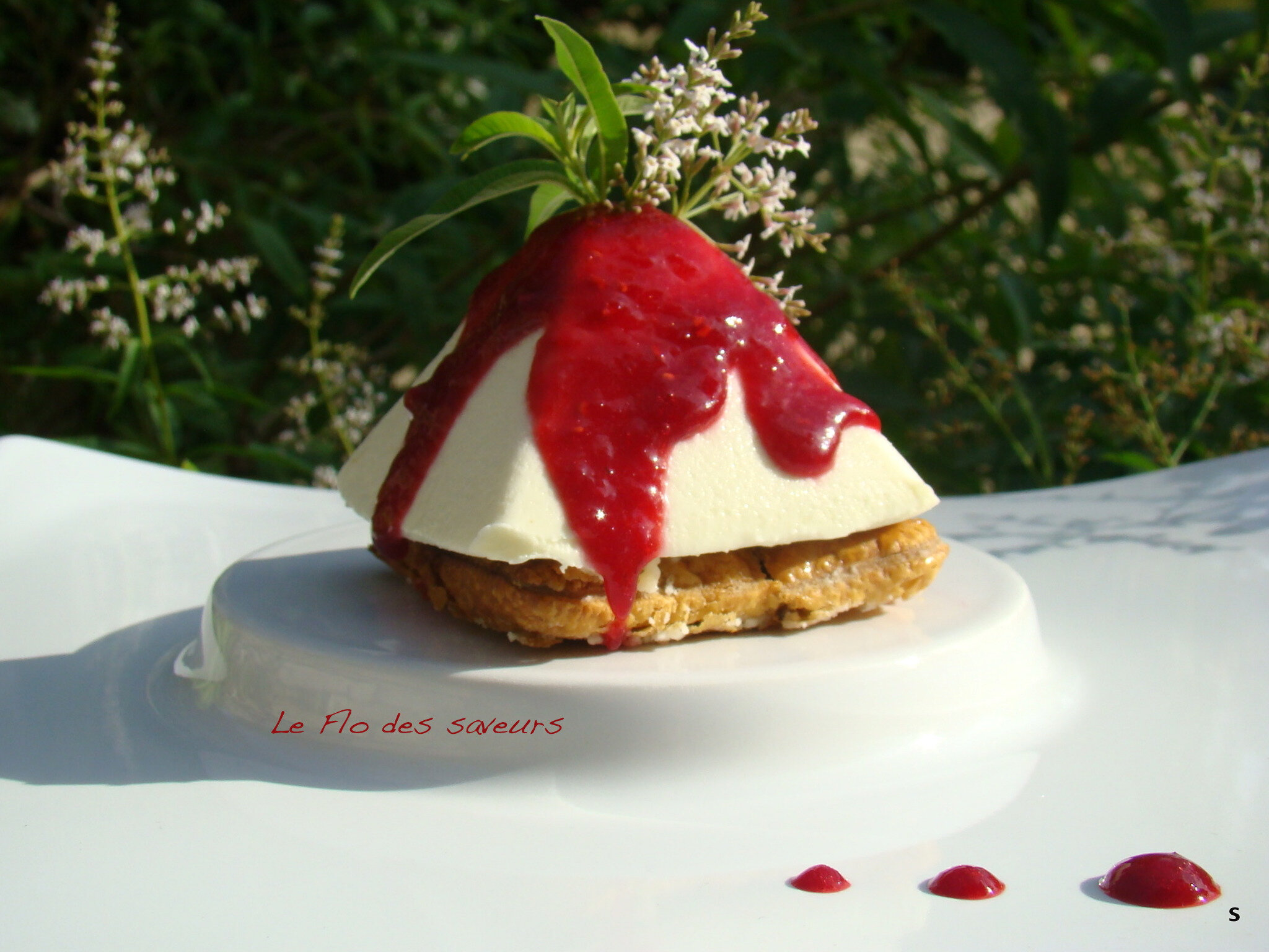 Montagne de Panna cotta chocolat blanc/verveine avalanche de framboises 