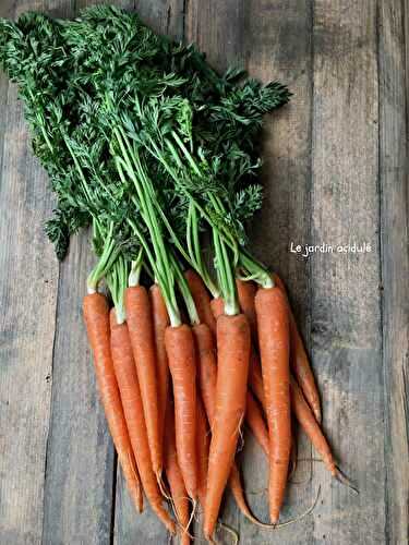 Carottes nouvelles au paprika fumé - LE JARDIN ACIDULÉ