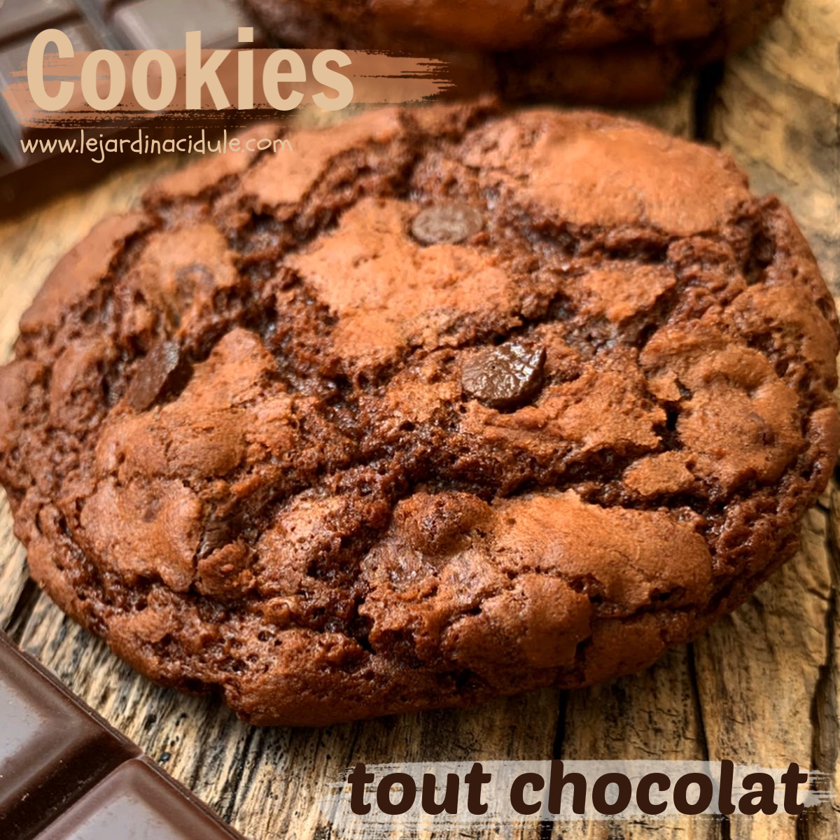 Cookies tout chocolat - LE JARDIN ACIDULÉ