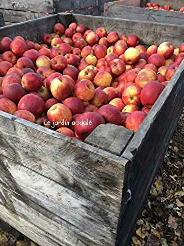 Cueillette et brunch à la ferme Gally - LE JARDIN ACIDULÉ