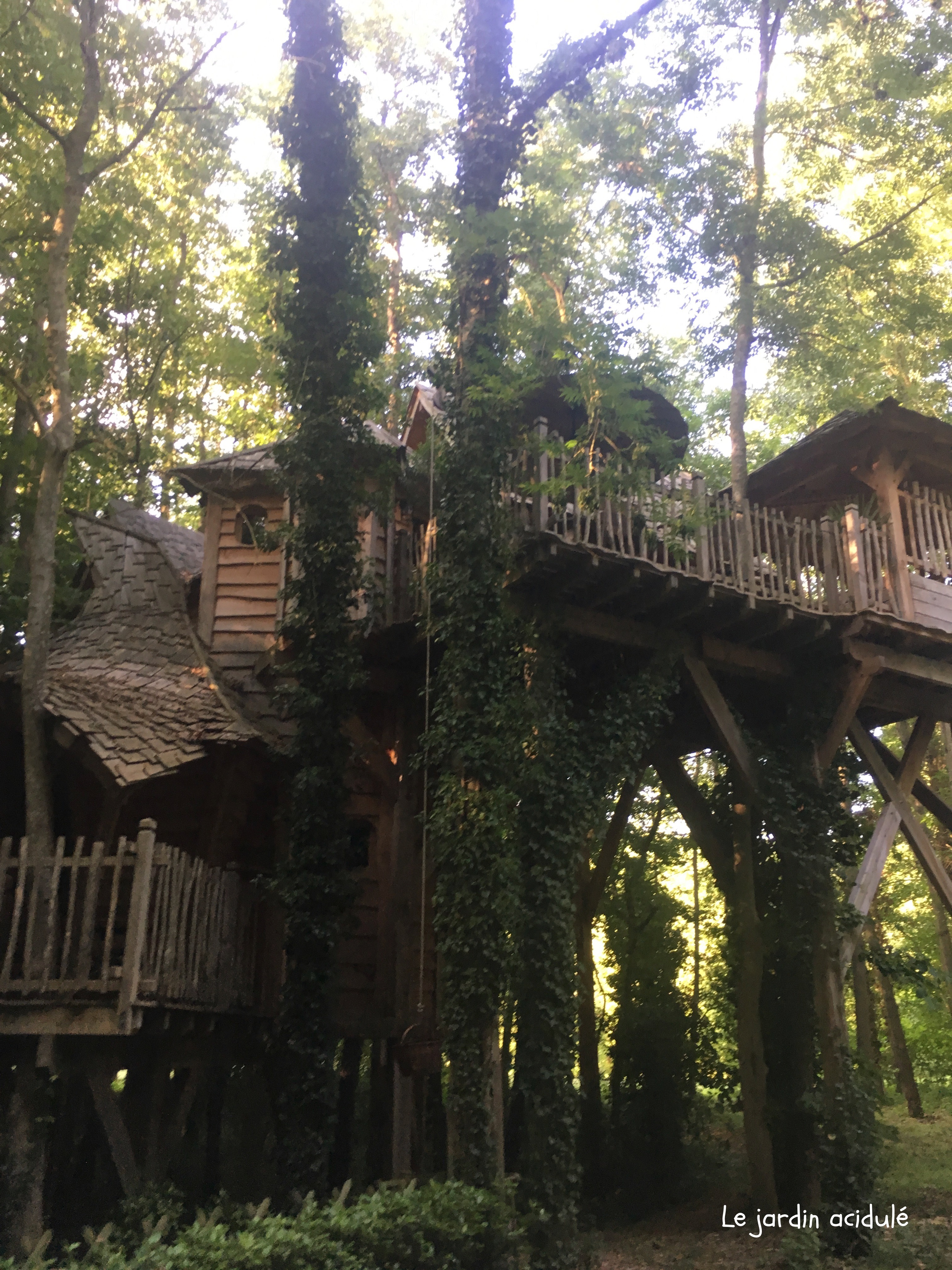 Dormir dans une cabane dans les arbres - LE JARDIN ACIDULÉ