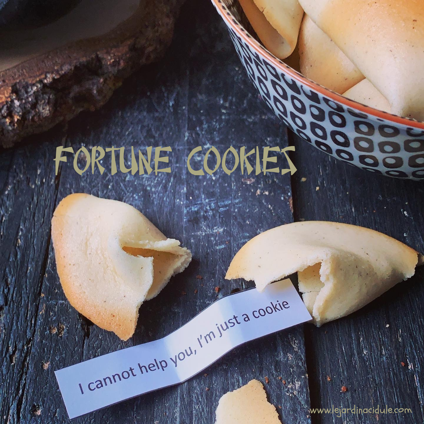 Fortune Cookies - LE JARDIN ACIDULÉ