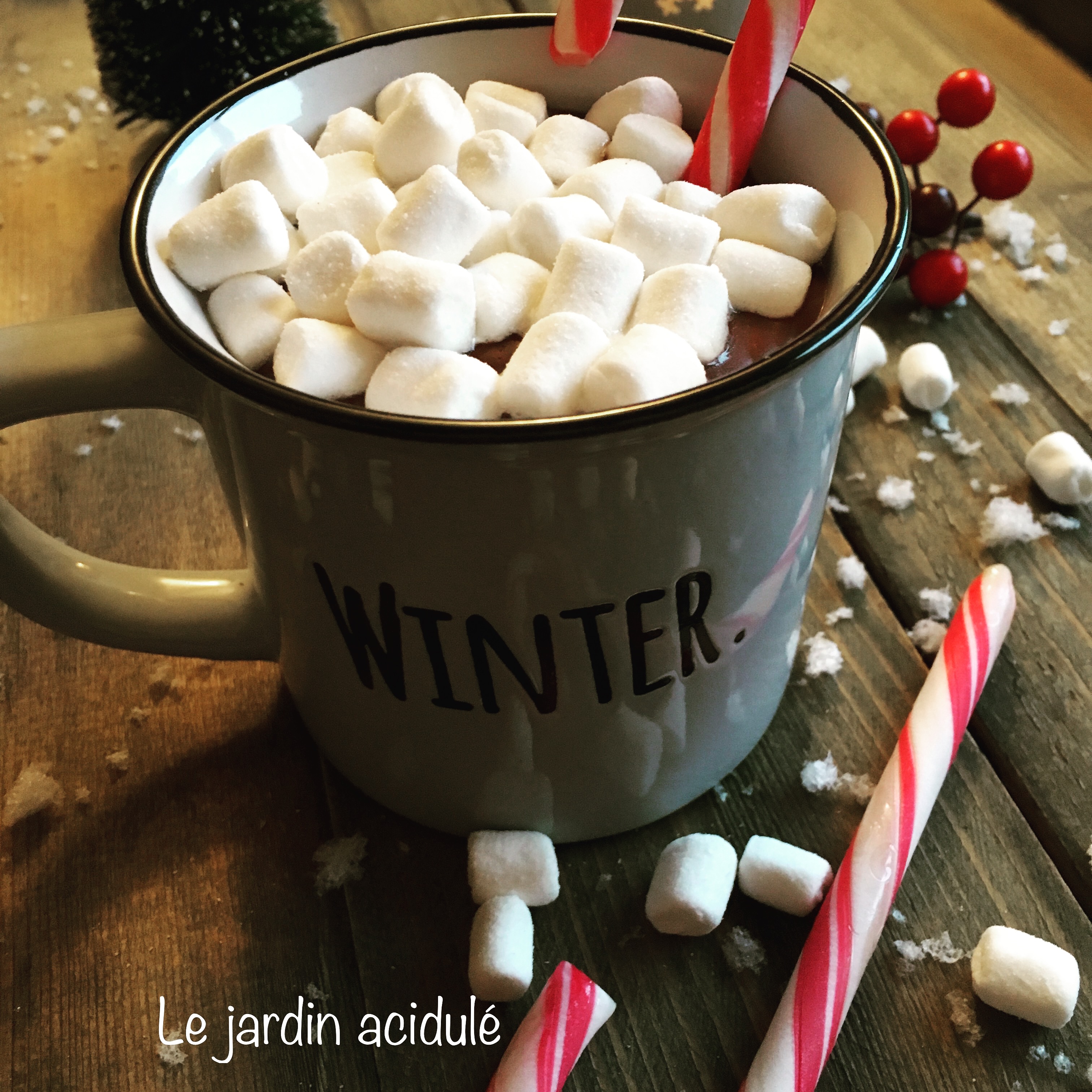 Hot chocolate - chocolat chaud - LE JARDIN ACIDULÉ
