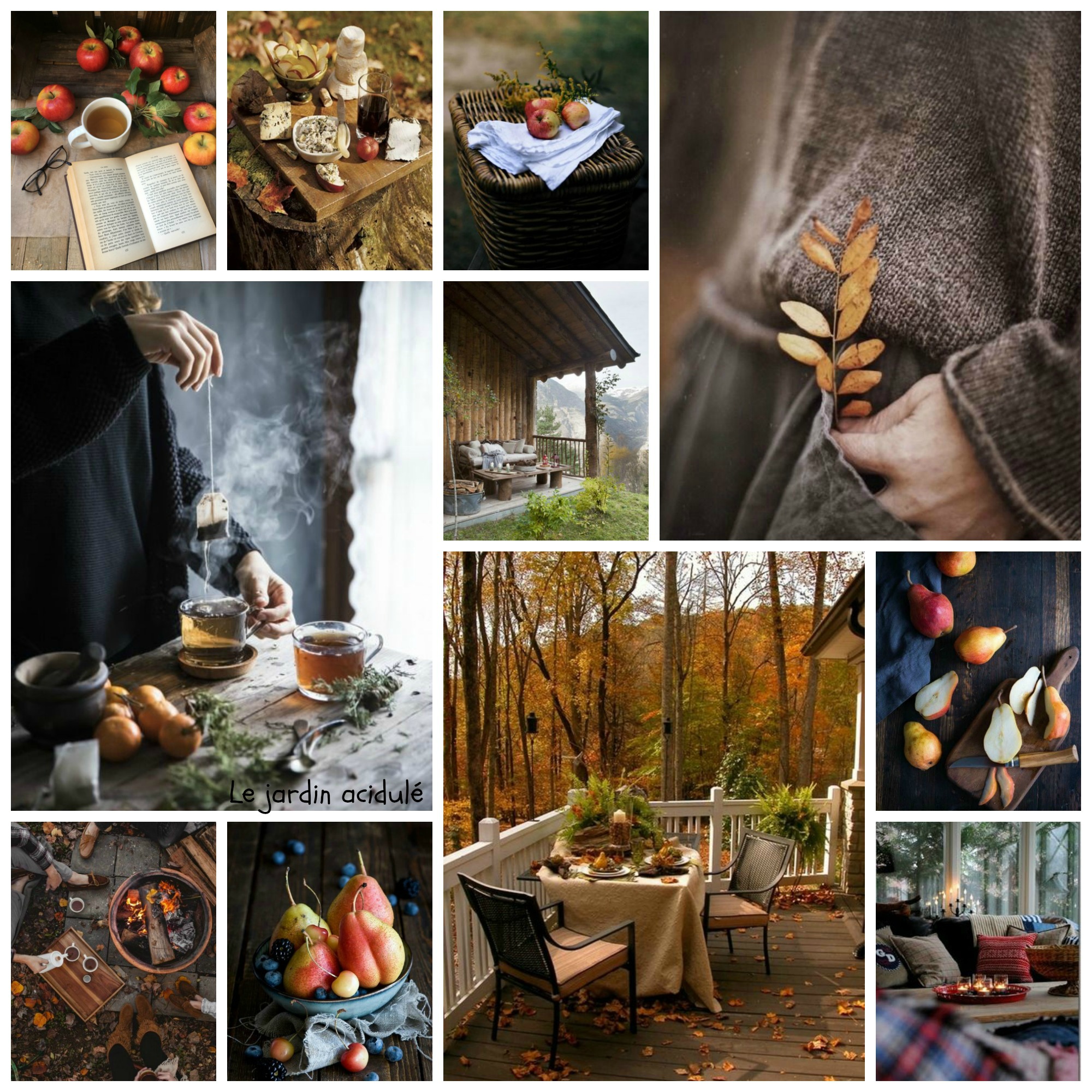 Moodboard d'octobre - LE JARDIN ACIDULÉ