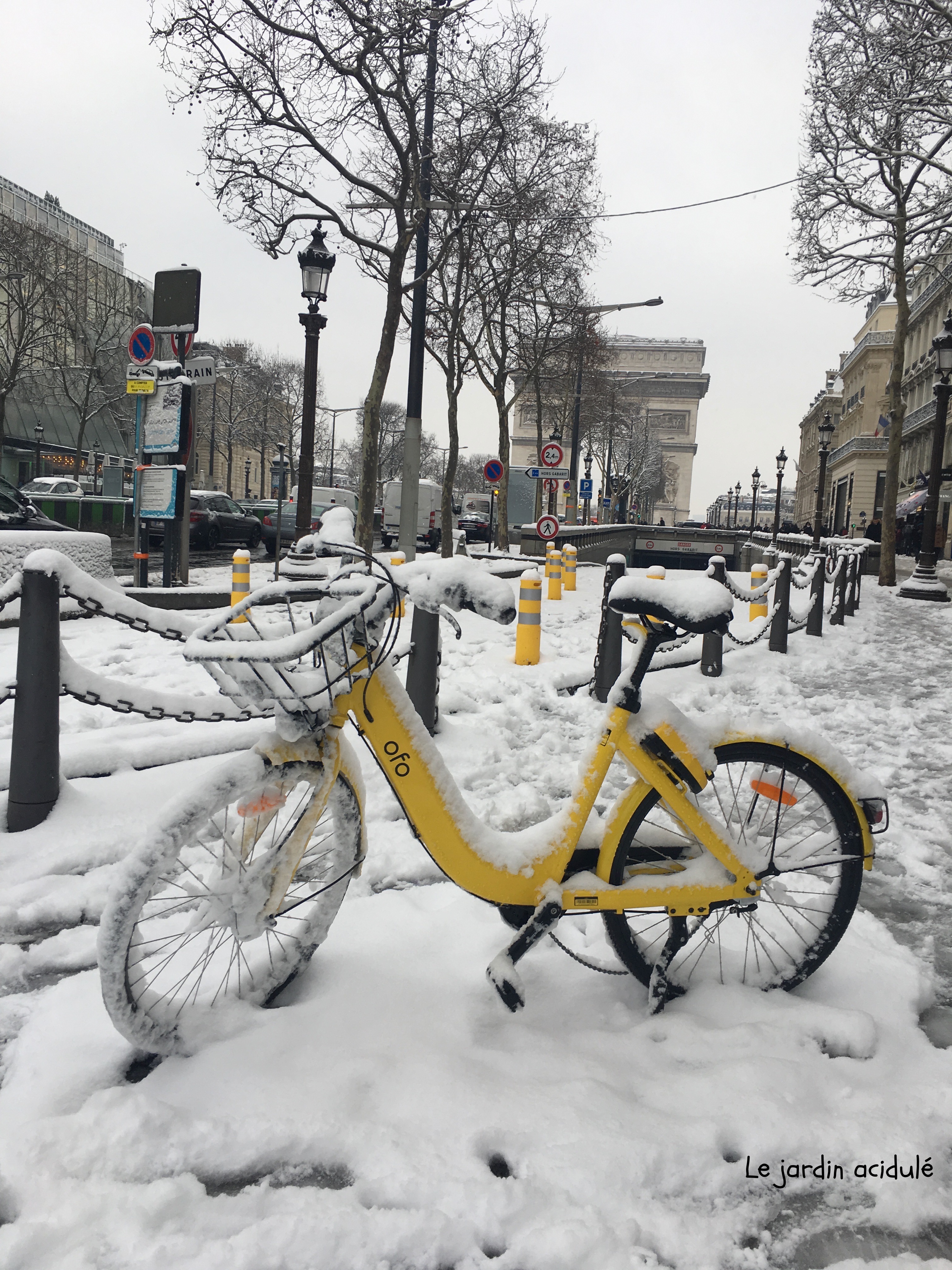 Paris sous la neige - LE JARDIN ACIDULÉ