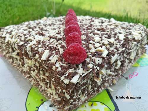 Gâteau chocolat / mousse framboise