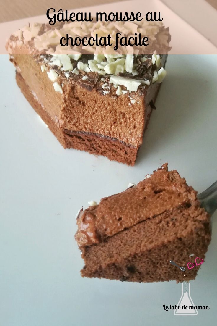 Gâteau mousse au chocolat facile