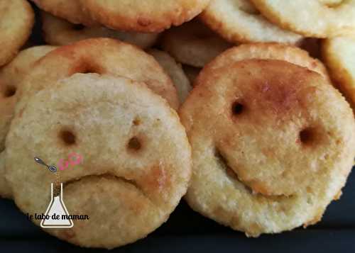 Smile - Galettes de pommes de terre (companion ou non) - Le labo de maman